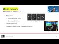 (Audio Described) Low Vision and Blindness Rehabilitation Program (NAEC February 2022)