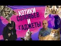 360 котиков и технологий