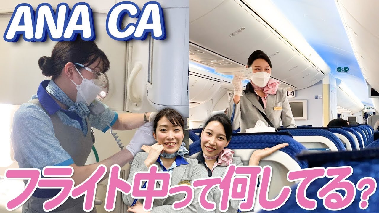 ANA CA　エロい ANA 全日空 CA制服 キャビンアテンダント ストッキング ネイビー ...