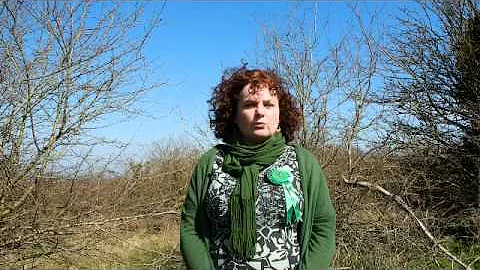 Susan McGrath Crowdfunder Video: General Election ...