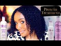 My High Porosity Natural Hair Protein Treatment Routine (2022) l Step by Step