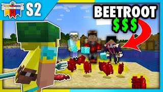 Making Beetroot The MOST VALUABLE Item On This Minecraft Server