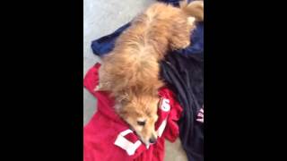 IMG 6534 MOV