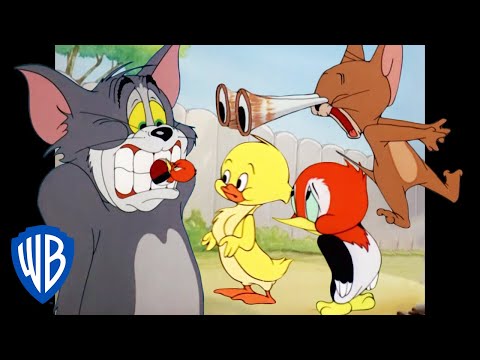 Том и Джерри | Королевство животных | WB Kids