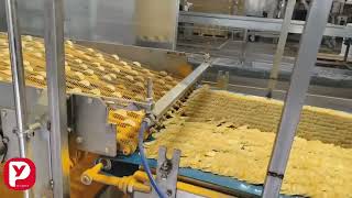 PY compound potato chips machine
