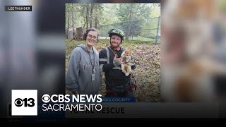 Placer County arborist dedicates his free time to rescuing cats stuck in trees