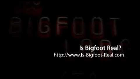 Is Bigfoot Real?