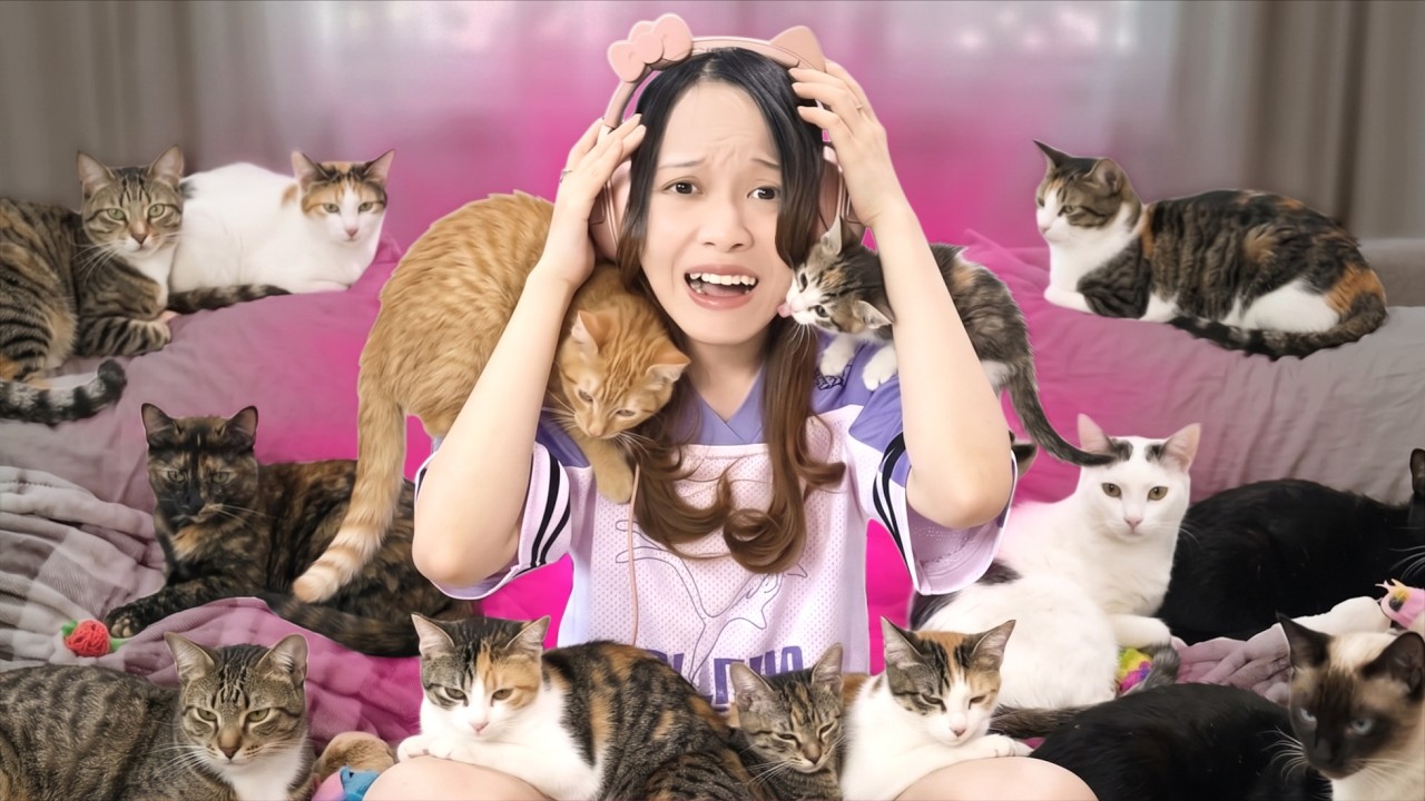7 Hari Sama Kucing...  [7 Days Cat Sitting]