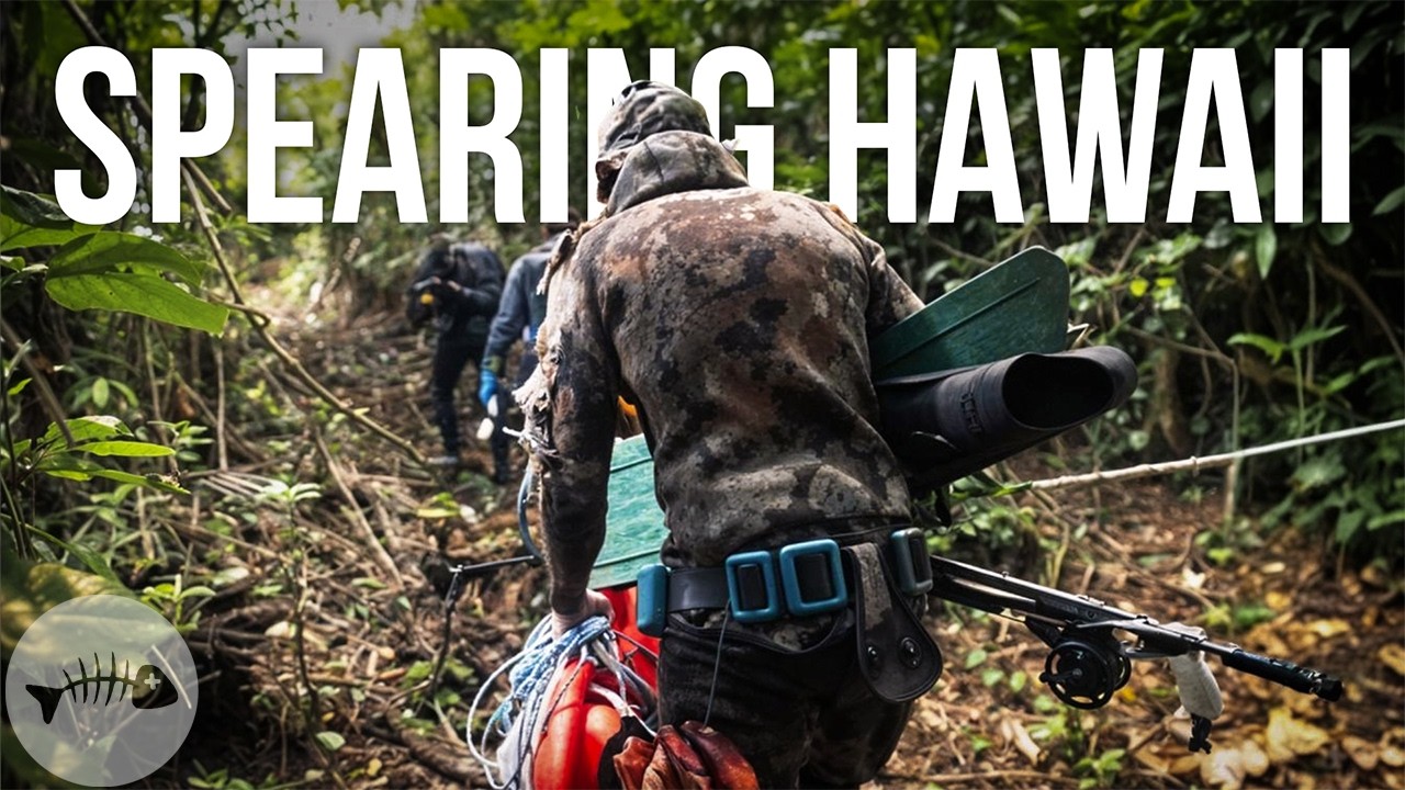 Exploring The Hawaiian Coast To Spearfish Dinner