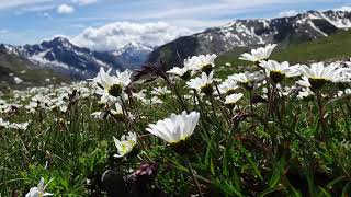 3 ORE VIDEO PAESAGGI DI ALTA MONTAGNA CON MUSICA SOTTOFONDO