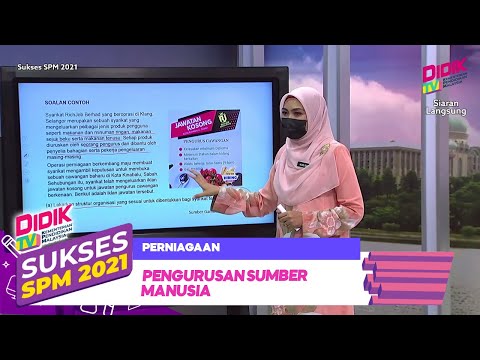 Video: Adakah menguntungkan memelihara babi untuk penjualan daging?