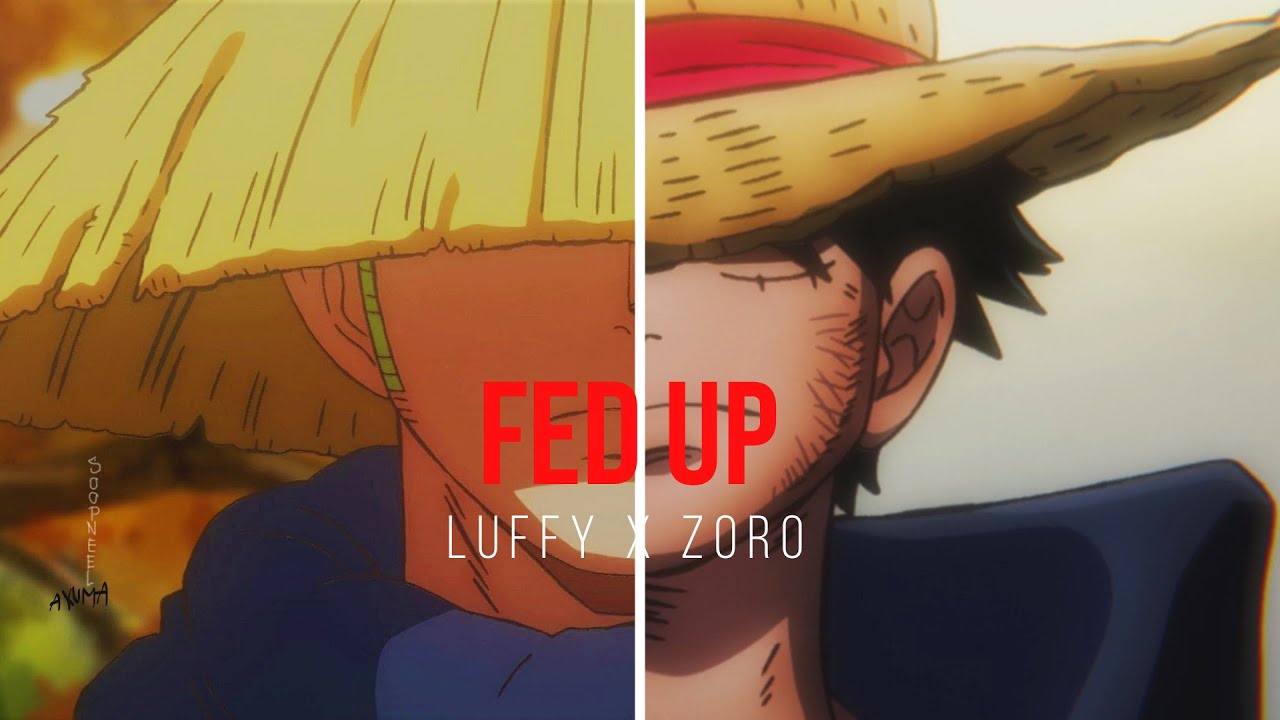 Saniji, Zoro e Luffy rebaixados estão passando na sua timeline