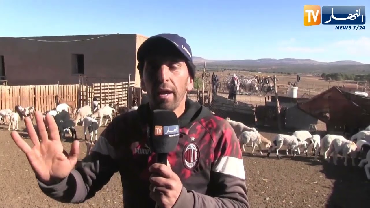 سعيدة : سكان مزرعة طيبي بناجم يعيشون في الظلام جراء سرقة الكوابل النحاسية