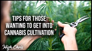 Getting Into Cannabis Cultivation - Learn To Make $ From Licensed Cannabis