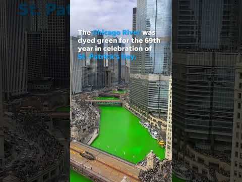 Chicago River dyed green in celebration of St. Patrick's Day #shorts