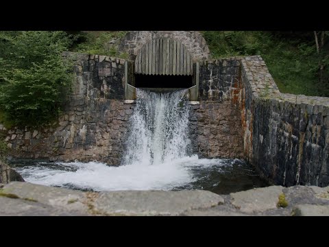 Miniatuur van productvideo