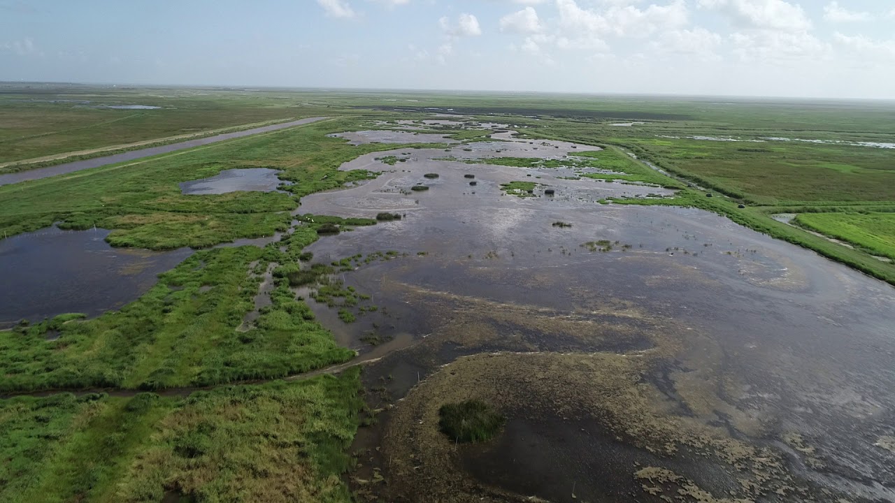 Aerial Video of East Texas Wetlands Restoration Project by Professional
