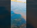 Beautiful Nature part 2 #shorts #viralshort #trendingshorts