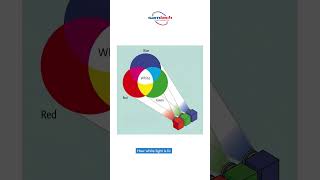 Colour Shadow Apparatus | Manufacturer | Stem Lab