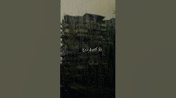 القرئ:ياسر الدوسري       سورة النساء
