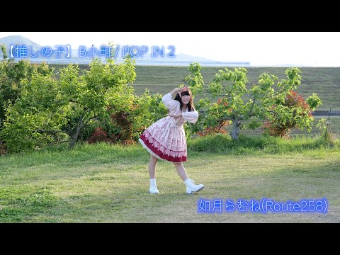 海辺の踊り子 HORIZONTAL PATTERN - SUN SURF - サンサーフ