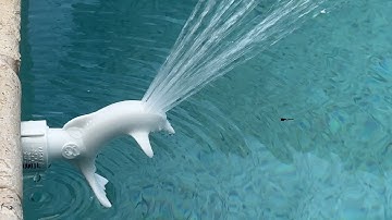 Pool Dolphin Aerator Demo - Artista Pools