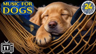 24 Hours of Calming Music for Dogs with Anxiety: Soothing Lullabies for Anxious and Stressed Dogs!