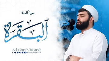 سورة البقرة كاملة للقارئ بيشةوا قادر الكردى #رمضان_2024 -Sourate Al Baqara - Peshawa Al Kurdi