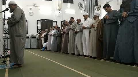 تلاوه مؤثره للشيخ محمد رضا اسلام من مسجد الفاروق بالصحافه تراويح 2019