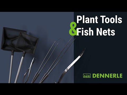 ALLES ganz neu! Plant Tools und Fish Nets, das neue Zubehör für dein Aquarium! | DENNERLE