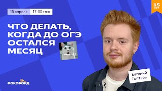 Что делать, когда до ОГЭ остался месяц?