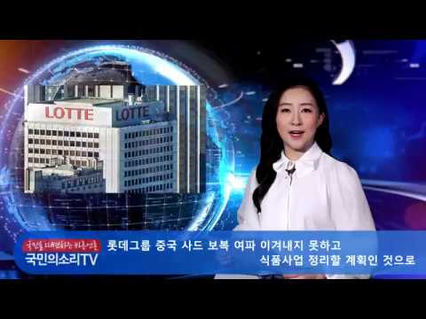 롯데그룹 롯데제과 롯데칠성음료 신동빈대표 이영구대표 중국 사드 보복 유통사업 이어 식품사업 정리할 계획 한국신문방송인클럽서울지회 국민의소리TV 피폴TV