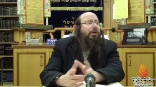 הרב אברהם יצחק כרמל-תורה ז'-שיעור 4