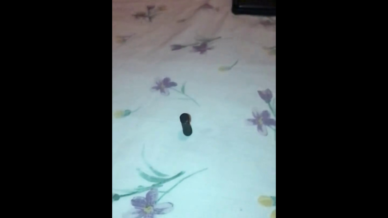 Sharpener VS Pins in boxes  Like pls