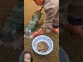 #fishing#amazingfacts #agriculture #trending #technology #ytshorts #video