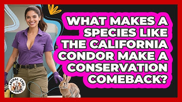 What Makes A Species Like The California Condor Make A Conservation Comeback? - Animal Care Jobs