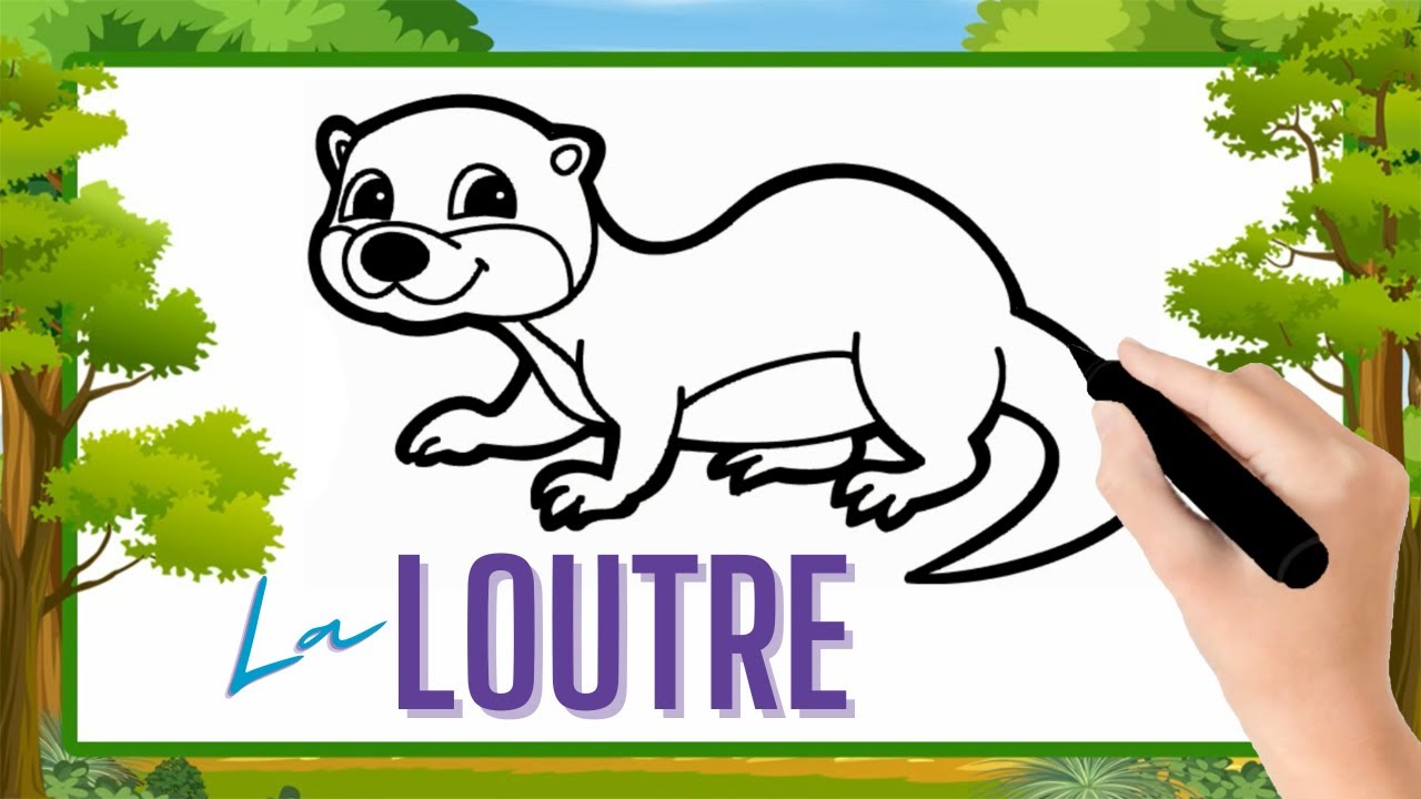 Comment dessiner une loutre facilement dessin loutre facile