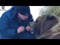 Перед сном обмуслякать папке лапку🐻😋