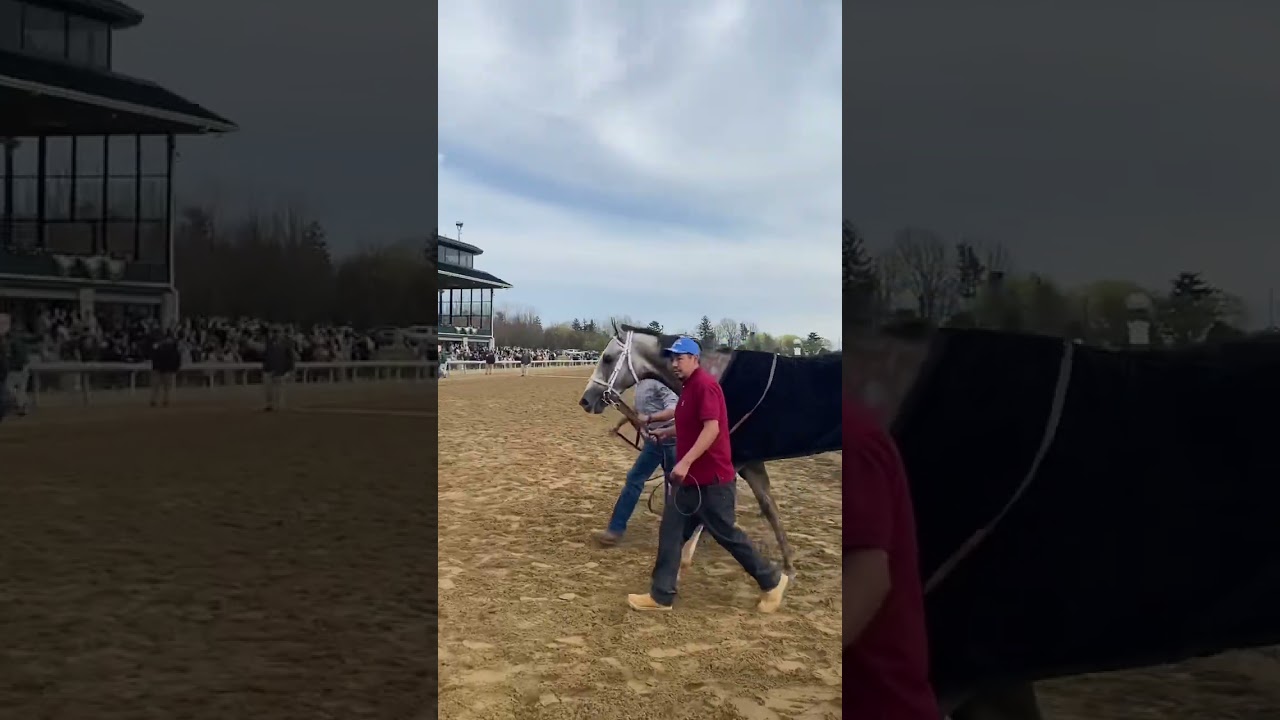 Walk back a winner 😉TAPIT TRICE fought hard for his Blue Grass win! 💪🏻