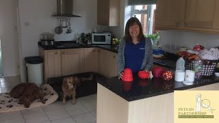 Pets In Partnership - Stimulation using mealtimes - home made 'wobblers' by Pets In Partnership 178 views 4 years ago 5 minutes, 33 seconds