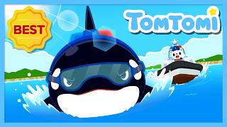 Full 🐋We'll Protect the Ocean! | Sea Guard Orca! 🌊 | Animal songs | Best Kids songs #TOMTOMI Guide