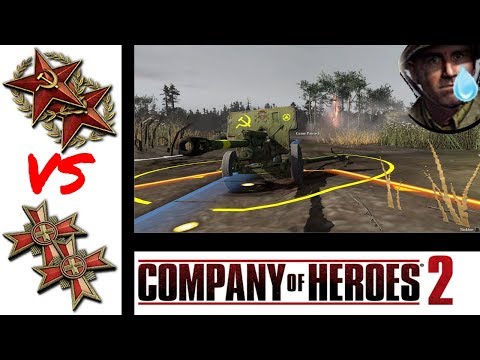 Video: The Company 