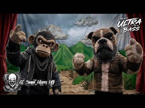 @elcarteldesantatv - Sapo ( Tiradera Ckan y Dhairus) "EPICENTER"