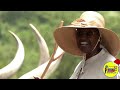 AGUMEHO YOWERI Ll NRM SONG BY CADRE MARTIN KATUNGISA Ll YOWERI MUSEVENI AGUMEHO YOWERI Ll NRM SONG BY CADRE MARTIN KATUNGISA Ll YOWERI MUSEVENI