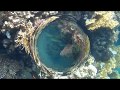 Snorkeling, Brayka Bay, Marsa Alam, Ägypten, Mai 2018