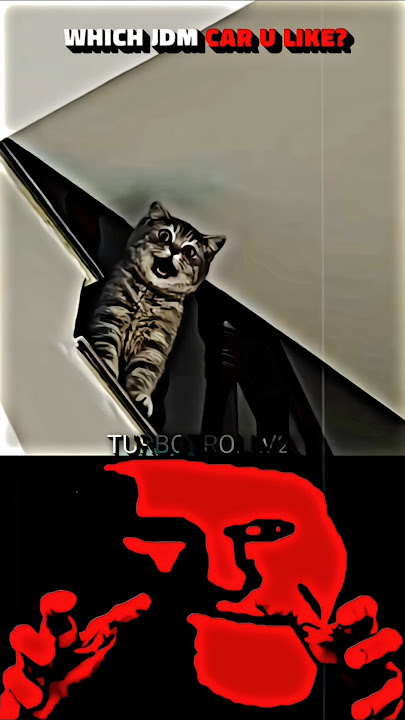 Cat Sound Like Toyota Supra ||😼🔊 #jdm #supra #gtr #nismo