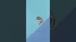 Zjazd Tomka Tom I Jerry Ód Ówki