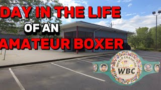 A DAY IN THE LIFE OF A BOXER | Vlog 002