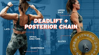 Deadlifts + Posterior Chain Workout | My Full Deadlift Lifting Routine