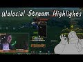 Getting insanely rare pets and other stream highlights from august